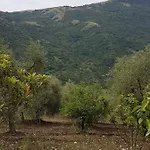Lägenhet La Casa Del Mosileo *