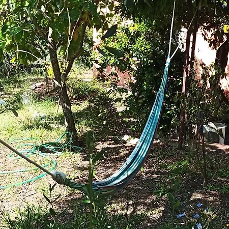 La Casa Del Mosileo Apartament