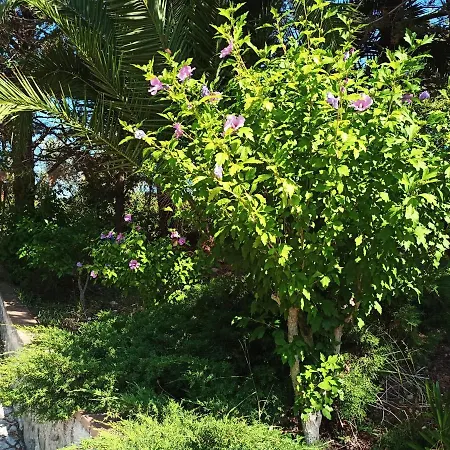 Daire La Casa Del Mosileo