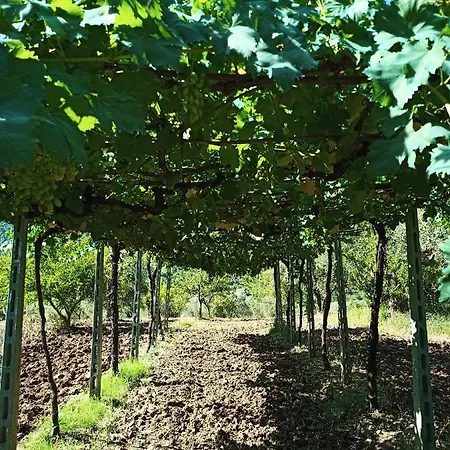 La Casa Del Mosileo Vietri di Potenza