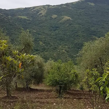 Lägenhet La Casa Del Mosileo *