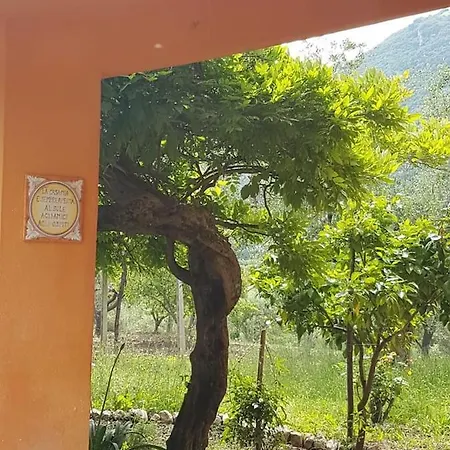 La Casa Del Mosileo Lägenhet *