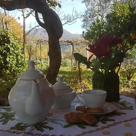 La Casa Del Mosileo * Vietri di Potenza