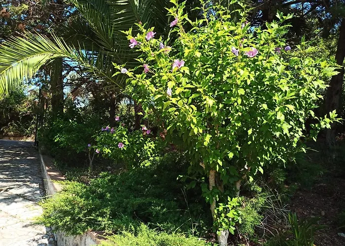 Daire La Casa Del Mosileo