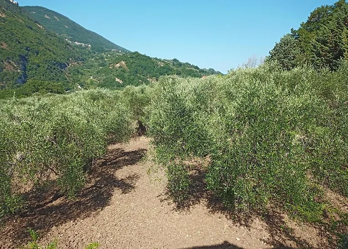 La Casa Del Mosileo *