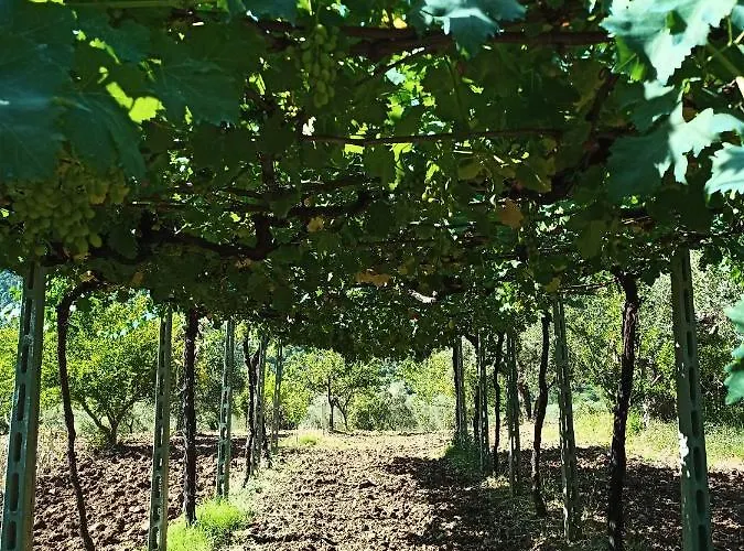 La Casa Del Mosileo Vietri di Potenza