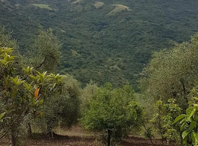 Daire La Casa Del Mosileo *