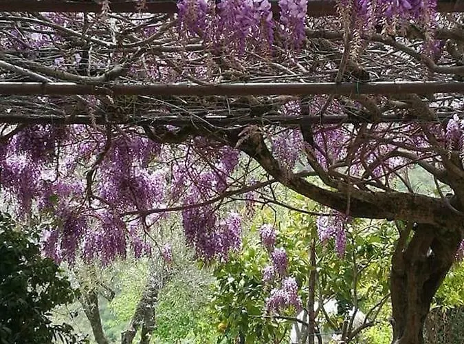 La Casa Del Mosileo Daire *