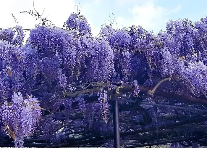 Daire La Casa Del Mosileo *